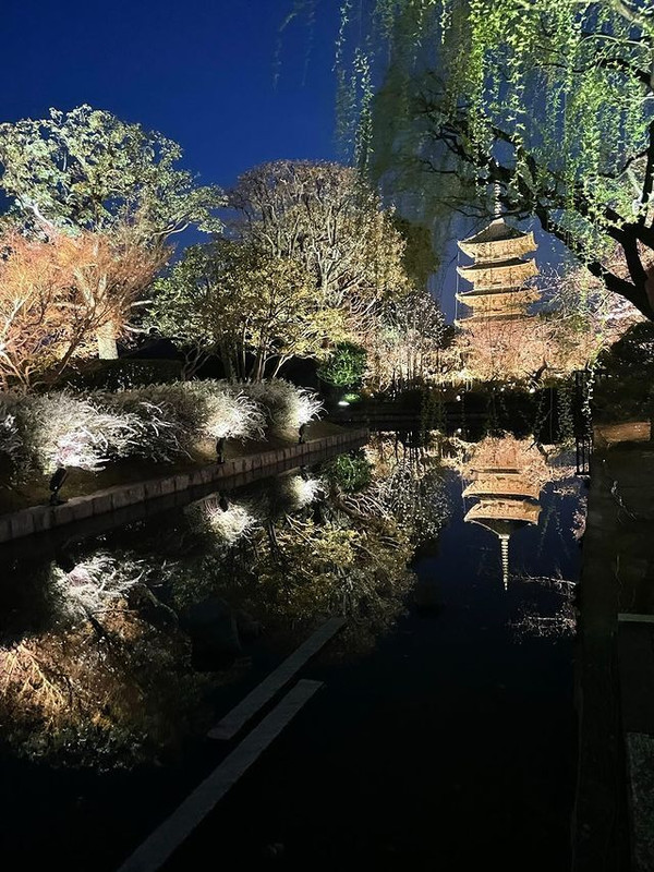 _____sana65さんの写真 / 1