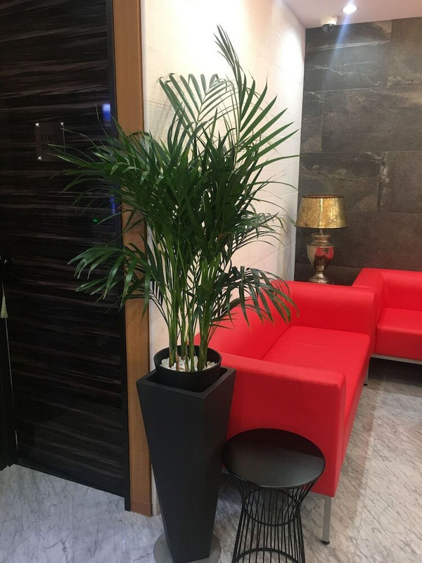 ロビーラウンジ