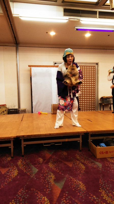 猫の手を借りる女将