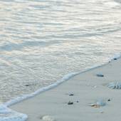 Villa Charme（沖縄県 コテージ・ロッジ・一棟貸） / 3