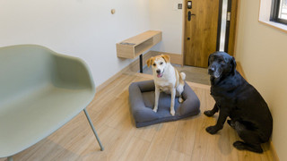 Rakuten STAY VILLA 富士河口湖の森/2LDKメゾネット [サウナ・テラス有] 禁煙【ペット可】