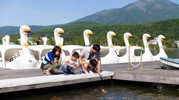 施設の敷地 / 24