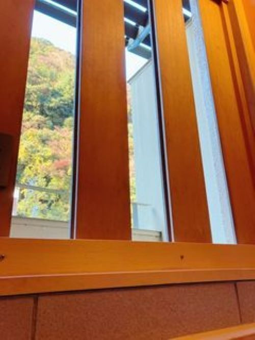 ftnuiinuさんの写真 / 4