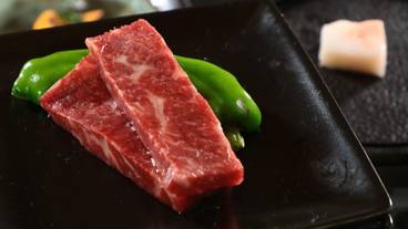 食事・飲み物 / 13