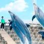 【仙台うみの杜水族館チケット付:朝食付】ペンギン好きさん集合!家族旅行やデートにおすすめ♪ | 仙台ワシントンホテル