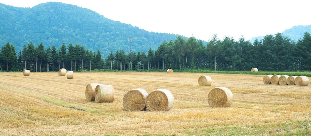 部屋からの景観
