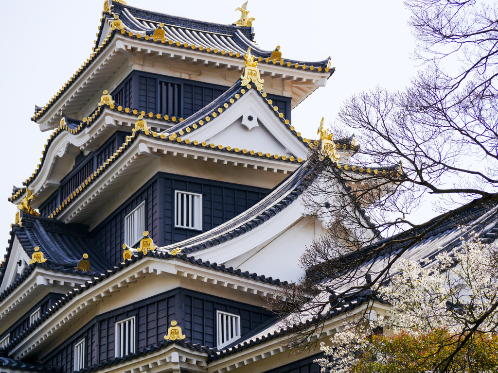 フルーツに倉敷、岡山城など見どころいっぱいの「岡山県」3454389