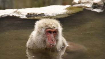 施設の敷地 / 24