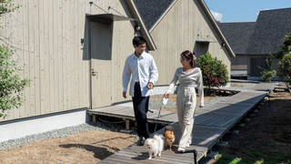 Standard with dog, Non Smoking