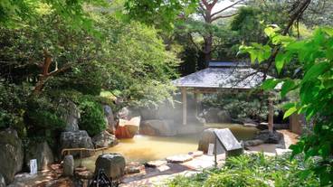 緑の露天風呂 / 4