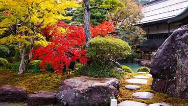 施設からの眺望 / 16