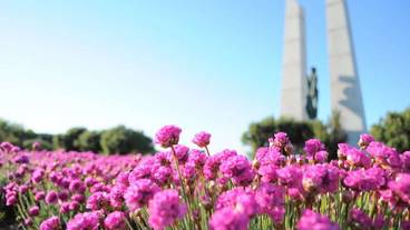 施設からの眺望 / 22