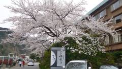 庄川温泉風流味道座敷 ゆめつづり