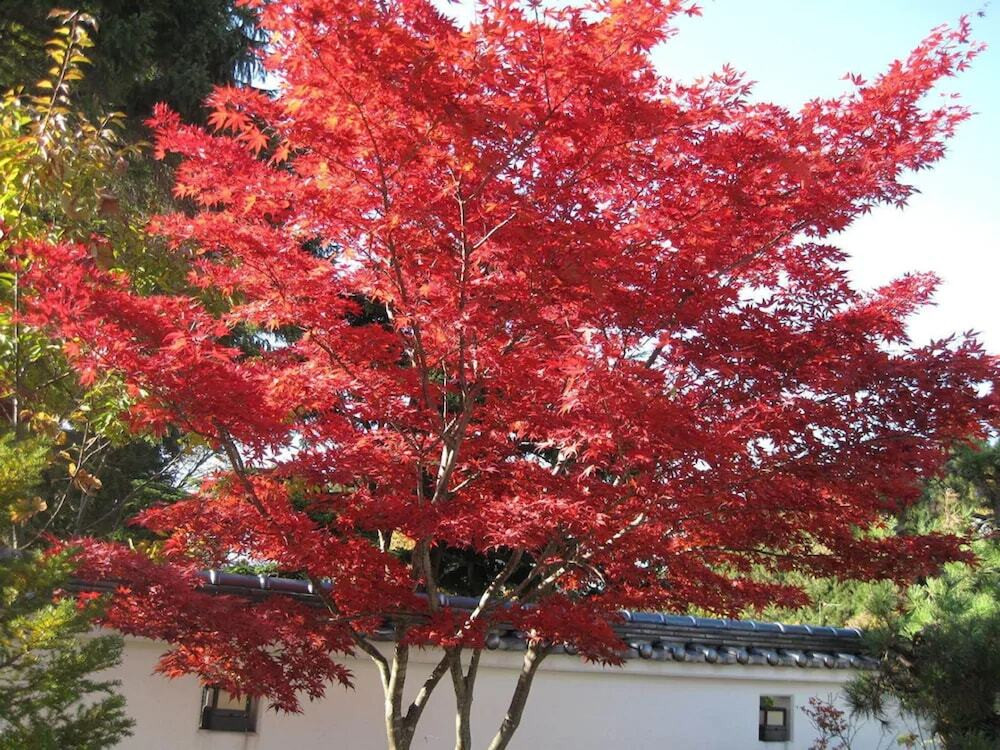 施設からの眺望