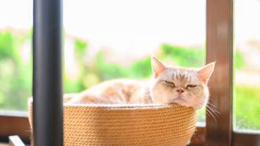 施設内の設備 / 30