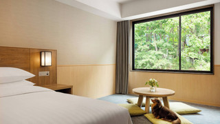 ルーム キングベッド 1 台 (Dog Friendly, With Hot-Spring Bath)