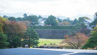 セミダブルルーム　パークビュー