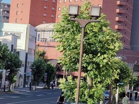 アートホテル盛岡 / 1