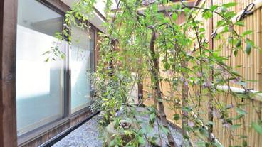 部屋からの景観 / 36