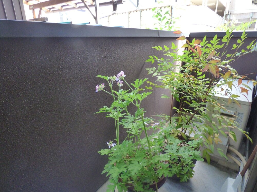 ガーデン ビュー