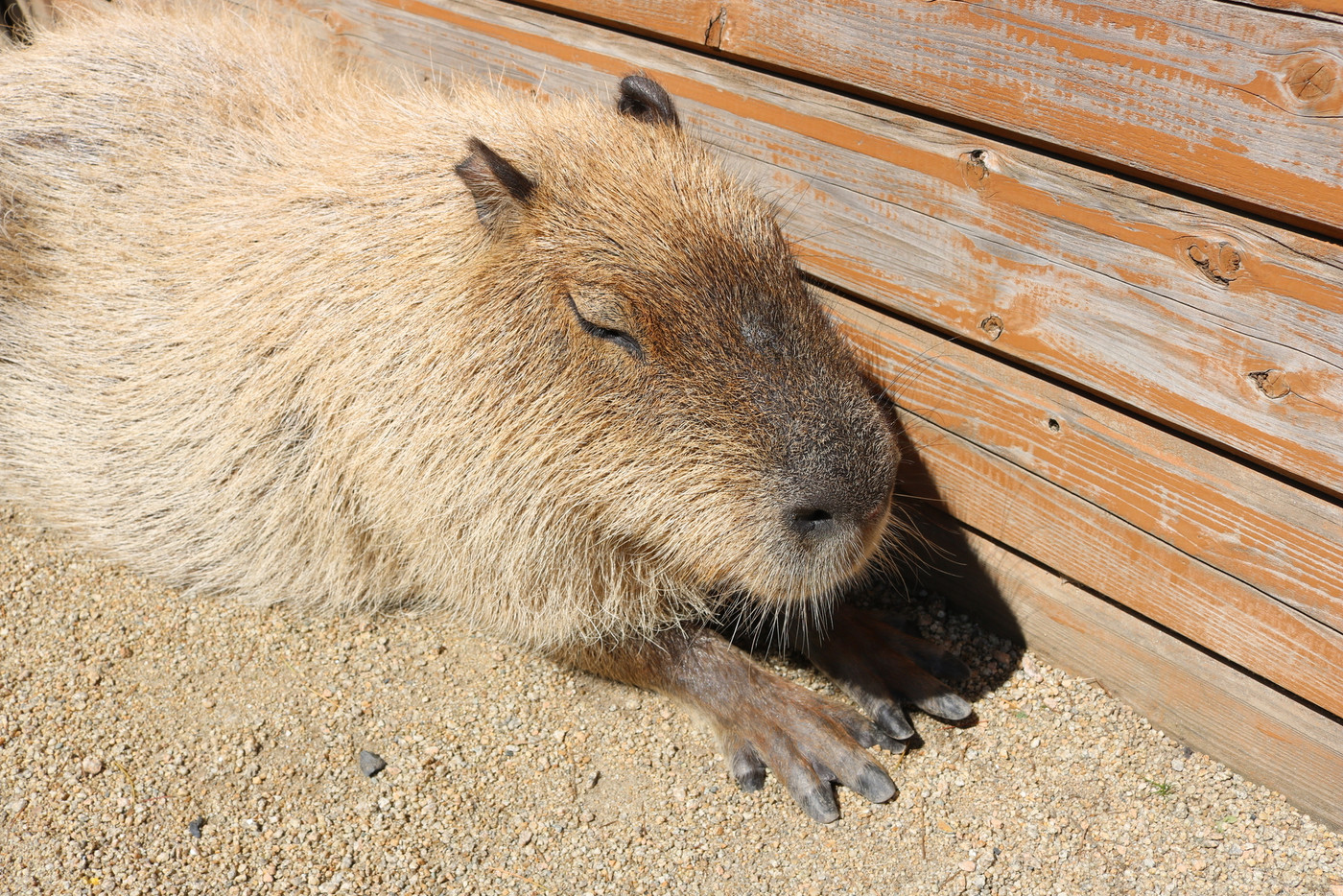 天然温泉でリラックス