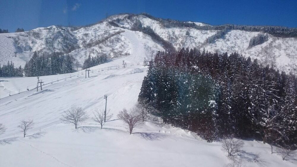 マウンテン ビュー