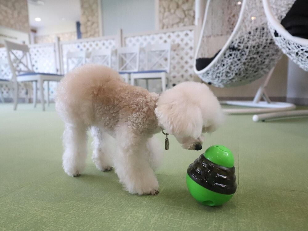 ペット用設備・サービス