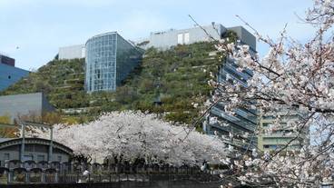 施設からの眺望 / 12