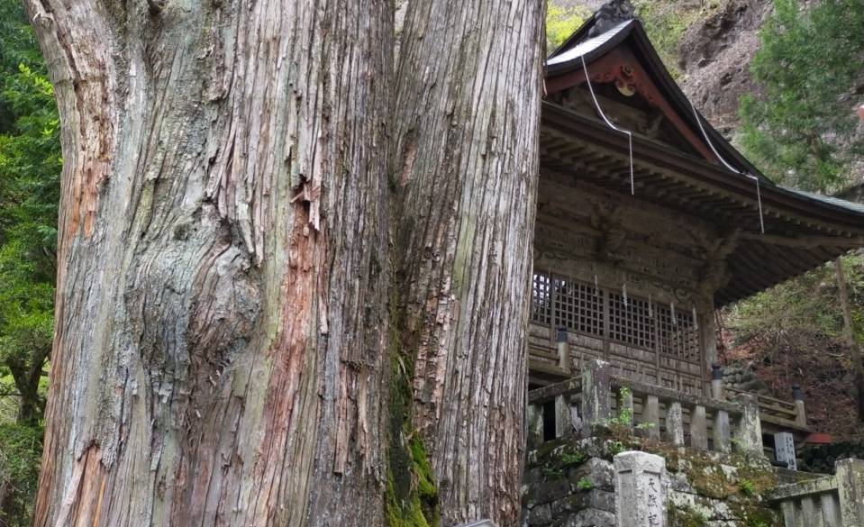 「榛名神社」の参拝から
旅がスタート♪ / 3