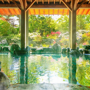 Relax and unwind with onsen, nature and meal