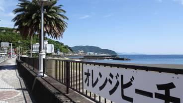 観光スポット / 3