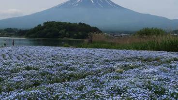 ランド ビュー / 9