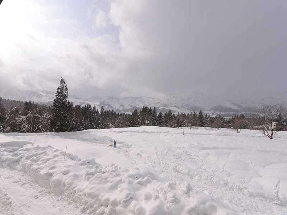 スノー スポーツとスキー