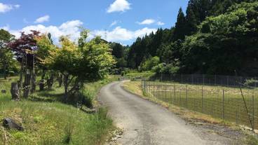 ランド ビュー / 13