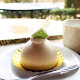 河口湖チーズケーキガーデン（カワグチコチーズケーキガーデン）