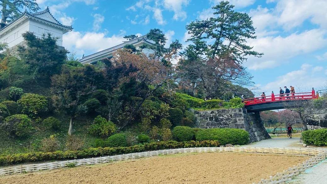 歴女にはたまらない
小田原城を観光♪ / 2