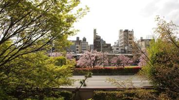 部屋からの景観 / 37