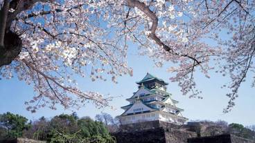 観光スポット / 9