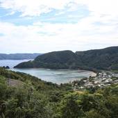 サンフラワーシティホテル(奄美大島)(鹿児島県 ビジネスホテル) / 5