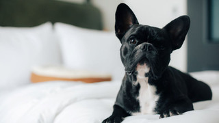 ルーム クイーンベッド 1 台 禁煙 シティビュー