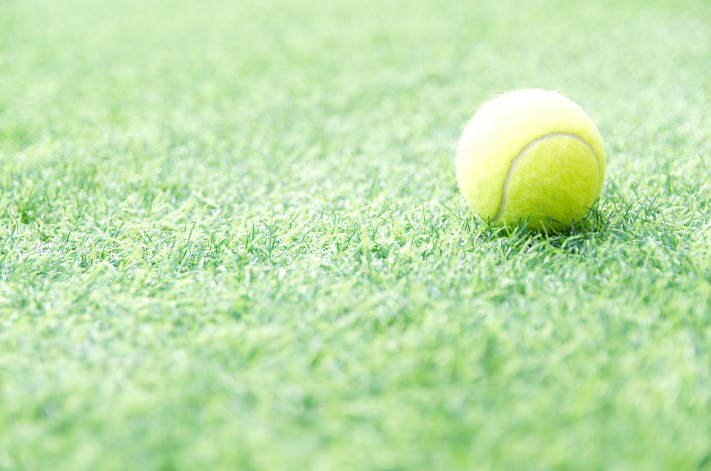 芝のコートとテニスボール