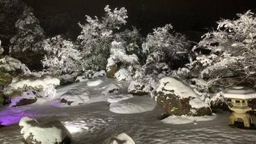 バンケット ホール / 13