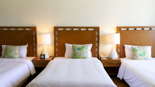 ナチュラルデラックス・グリーンビュー 禁煙