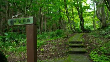 施設の敷地 / 26