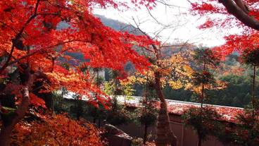 宿の眺望一例／秋 / 12