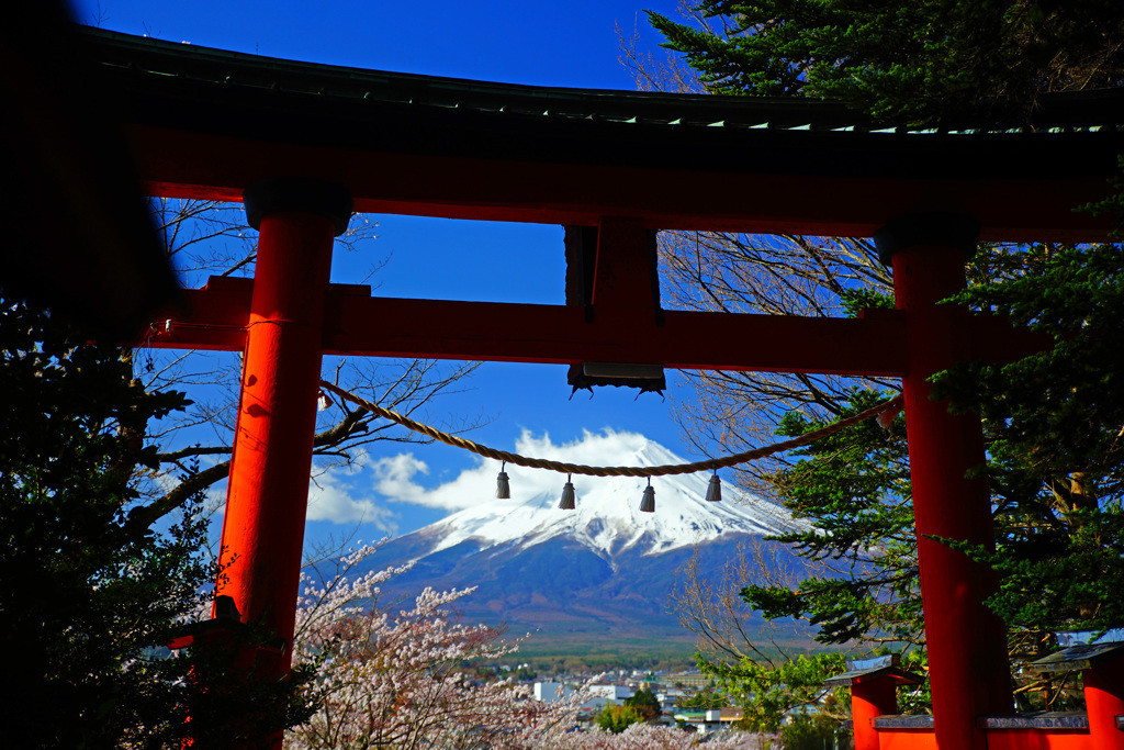 富士と桜の宮「新倉富士浅間神社」1829557