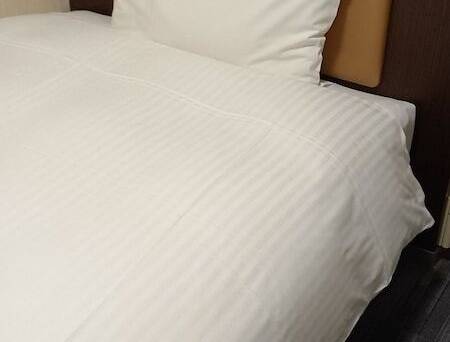 ワシントンR&Bホテル蒲田東口 / 1