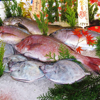 茨城県随一の遠洋漁業基地として豊富な魚介地魚が水揚げされ卸売市場の向かい那珂湊おさかな市場魚市場