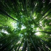 プラージュ 由比ガ浜(神奈川県 ビジネスホテル) / 5