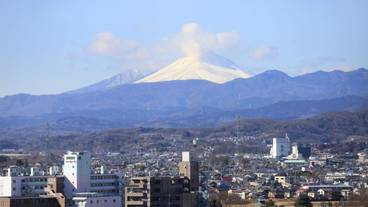 部屋からの景観 / 27